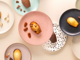 Madeleines de la Maison Colibri posées sur des assiettes de différentes couleurs
