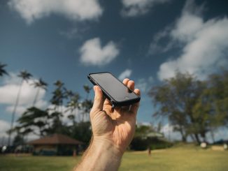 Personne qui tient dans sa main un téléphone portable sur un fond de cocotiers et de ciel bleu