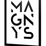 logo lunettes magnys