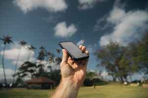 Personne qui tient dans sa main un téléphone portable sur un fond de cocotiers et de ciel bleu