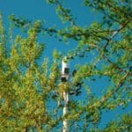 surveillance écosysteme