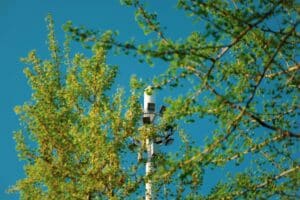 surveillance écosysteme